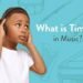 timbre meaning